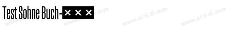 Test Sohne Buch字体转换
